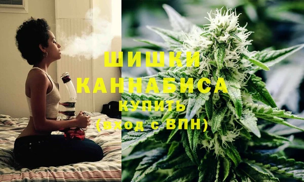 PSILOCYBIN Богданович