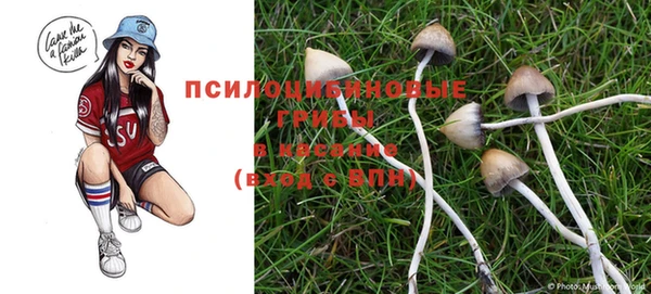 гашиш Богородицк