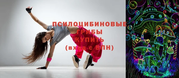 крисы Белокуриха